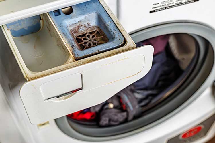 تمیز کردن بخش‌های بیرونی و لاستیک دور درب
