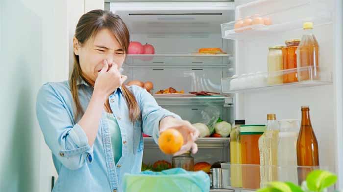 ترفند 2 روش طرز شستن یخچال با شلنگ آب + نکات بعد از شستن